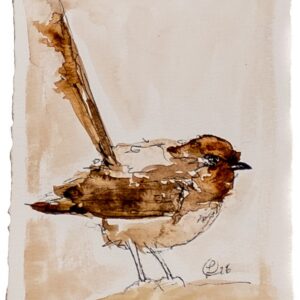 Brown Bird