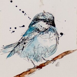 Bird Study 2