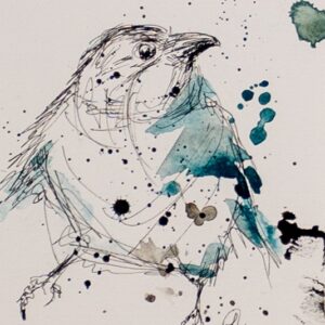 Bird Study 1