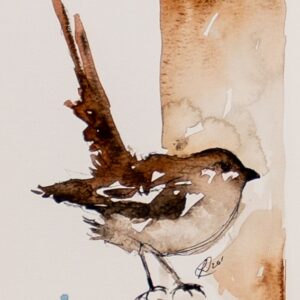Wren on Brown