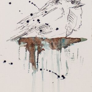 Sparrow Sketch